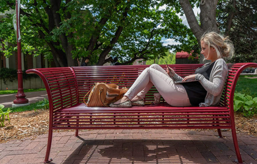 student studying on bench